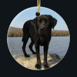 Het leven is een strand - Labrador Retriever - Zwa Keramisch Ornament<br><div class="desc">Gewoon een dag op het strand voor deze mooie Zwarte Labrador. Het leven is een strand - Oorspronkelijk kunstwerk van Judy Burrows @ Black Dog Art</div>