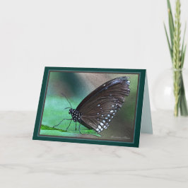 *Het leven is eeuwig: mooie metafoor voor de dood  Kaart