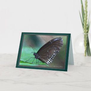 *Het leven is eeuwig: mooie metafoor voor de dood  Kaart