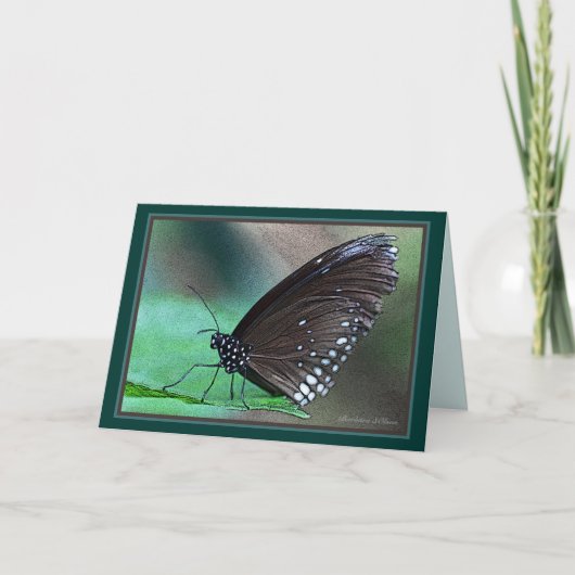 *Het leven is eeuwig: mooie metafoor voor de dood  Kaart (Voorkant)