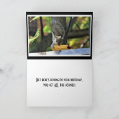 Het leven is geen picknick! Grappige eekhoorn verj Kaart (Binnen)