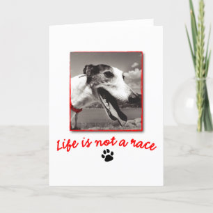 Het leven is GEEN ras Kaart