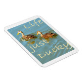 Het leven is gewoon Ducky Mottled Ducks Magnet Magneet (Rechterzijde)