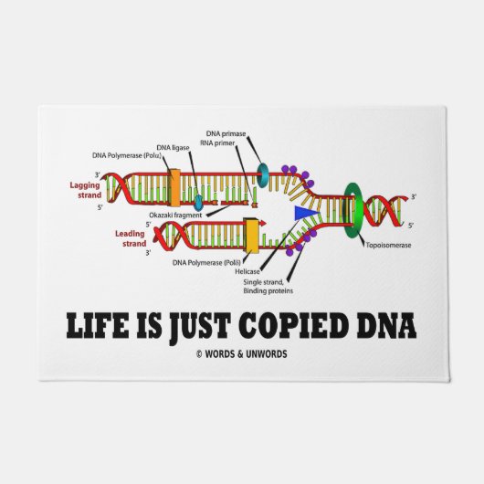 Het leven is gewoon gekopieerd DNA Molecular Biolo Deurmat (Voorkant)