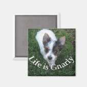 Het leven is Gnarly Magneet (Voorkant / Achterkant)