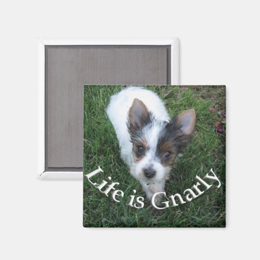 Het leven is Gnarly Magneet (Voorkant / Achterkant)