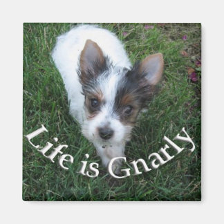 Het leven is Gnarly Magneet