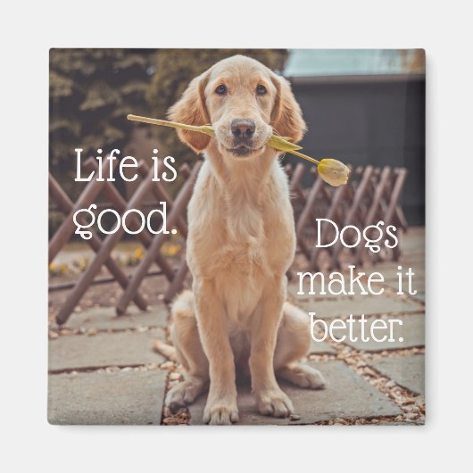 Het leven is Good Dog Magnet (Voorkant)