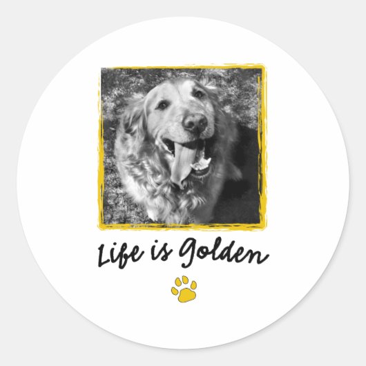 Het leven is gouden (Retriever) Ronde Sticker (Voorkant)