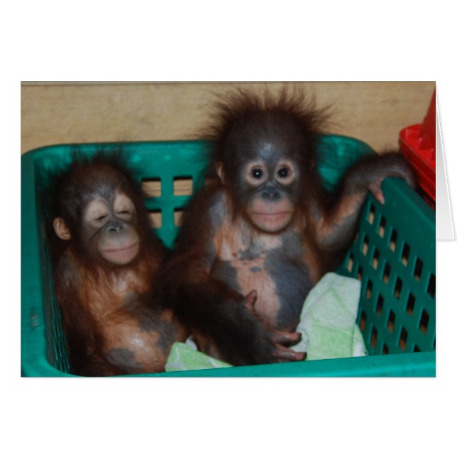 Het leven is het best wanneer gedeeld (Voorkant Horizontaal)