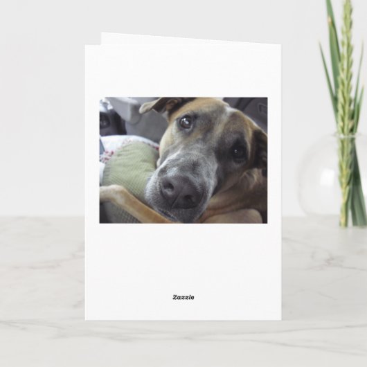 Het leven is Kemphaan Kaart (Achterkant)