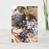 Het leven is Kemphaan Kaart (Voorkant)