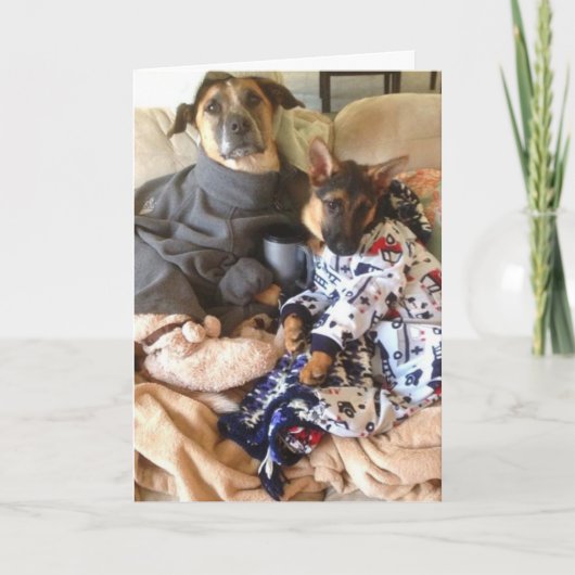 Het leven is Kemphaan Kaart (Voorkant)