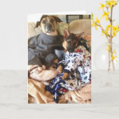 Het leven is Kemphaan Kaart (Gele Bloem)