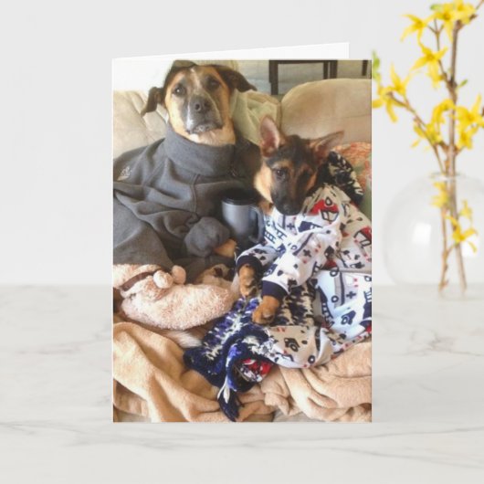 Het leven is Kemphaan Kaart (Gele Bloem)