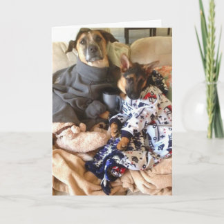 Het leven is Kemphaan Kaart