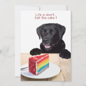 Het leven is kort, eet de taart - Black Lab Kaart (Voorkant)