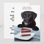 Het leven is kort, eet de taart - Black Lab Kaart (Voorkant / Achterkant)