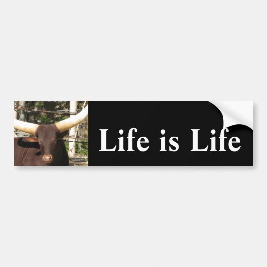 Het leven is LifeBumper Sticker (Voorkant)