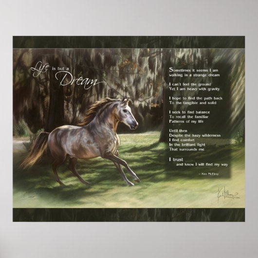 Het leven is maar een droom poster (Voorkant)
