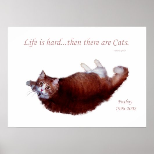 Het leven is moeilijk...Dan zijn er Katten. Poster (Voorkant)