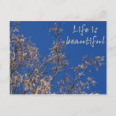 Het leven is mooi briefkaart (Voorkant)