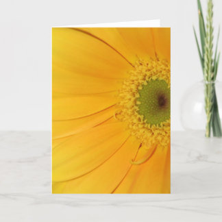 Het leven is mooi! kaart