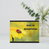Het leven is mooi - Ladybug Briefkaart (Staand voorkant)