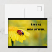 Het leven is mooi - Ladybug Briefkaart (Voorkant / Achterkant)