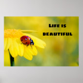 Het leven is mooi - Ladybug Poster (Voorkant)
