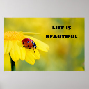 Het leven is mooi - Ladybug Poster