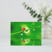 Het leven is mooie motivatie briefkaart (Staand voorkant)