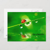 Het leven is mooie motivatie briefkaart (Voorkant / Achterkant)