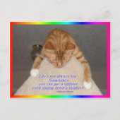 Het leven is niet eerlijk briefkaart (Voorkant)