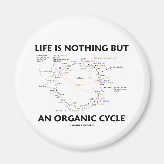 Het leven is niets anders dan een organische cyclu magneet (Voorkant)