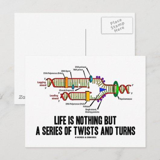 Het leven is niets anders dan een reeks draaien en briefkaart (Voorkant / Achterkant)