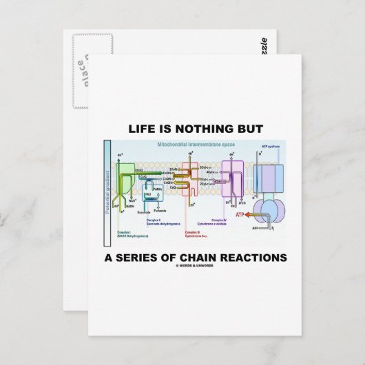 Het leven is niets anders dan een reeks kettingrea briefkaart (Voorkant / Achterkant)