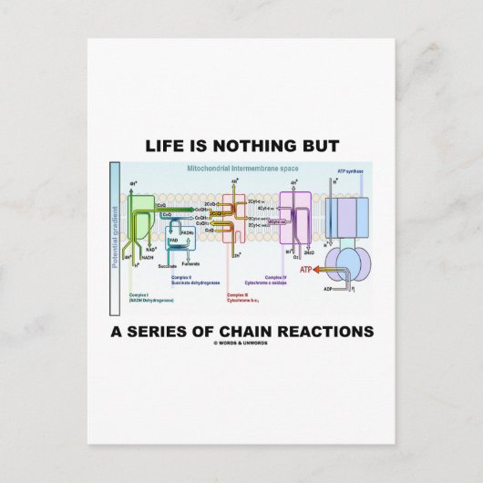 Het leven is niets anders dan een reeks kettingrea briefkaart (Voorkant)