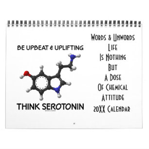 Het leven is niets dan Chemische Houding 20XX Kalender