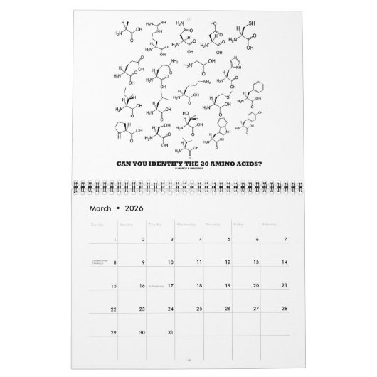 Het leven is niets dan Chemische Houding 20XX Kalender (Mar 2026)