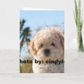 HET LEVEN IS ONZEKER, EET DESSERT F… KAART (Achterkant)