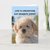 HET LEVEN IS ONZEKER, EET DESSERT F… KAART (Voorkant)