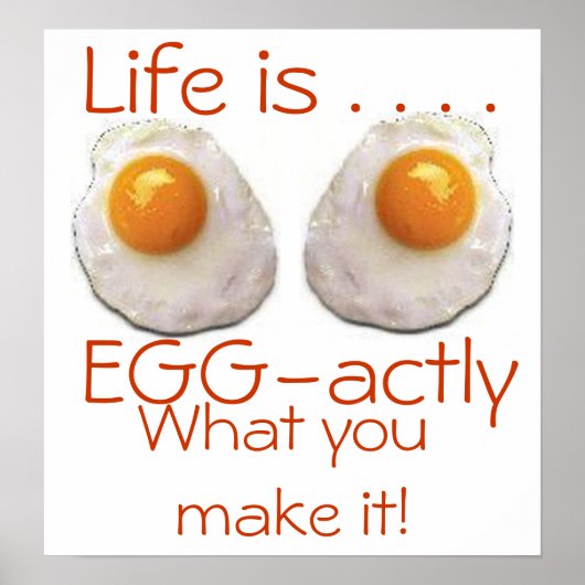 Het leven is poster (Voorkant)