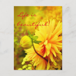 Het leven is prachtig Golden Yellow Dahlias Briefkaart