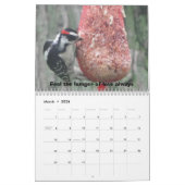 Het leven is prachtig kalender (Mar 2026)