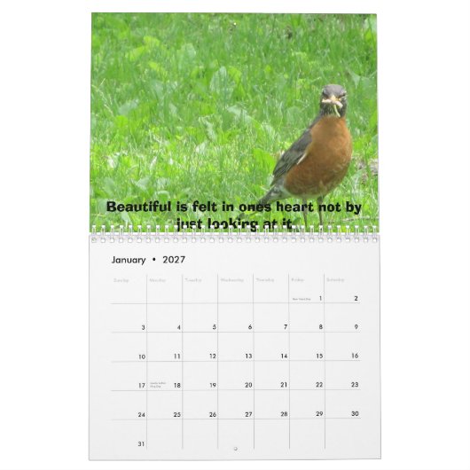Het leven is prachtig kalender (Jan 2027)