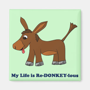 Het leven is ridiculair (roodbaars tot roodhartig) magneet