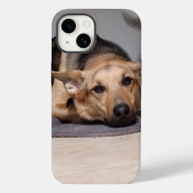 Het leven is Ruff Iphone 14 Hoesje