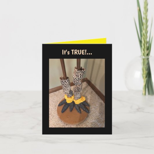 Het leven is te kort... gevouwen Wenskaart Kaart (Voorkant)