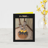 Het leven is te kort... gevouwen Wenskaart Kaart (Gele Bloem)